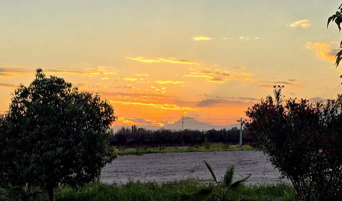 Un perro contempla el atardecer junto al alumbrado LED del barrio